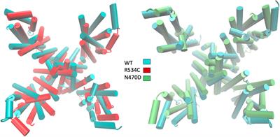 Computational insights into the mechanisms underlying structural destabilization and recovery in trafficking-deficient hERG mutants